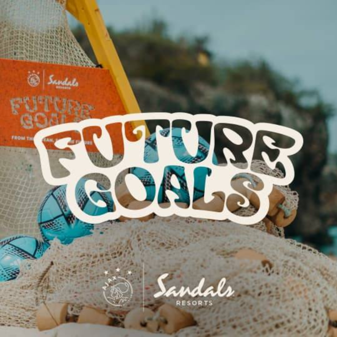 future goals blog
