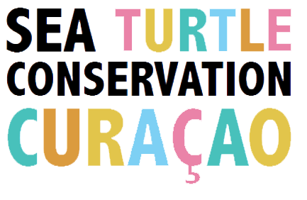 Sea turtle conservation